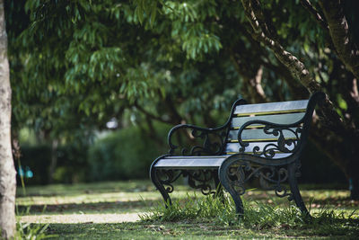 Empty bench in park