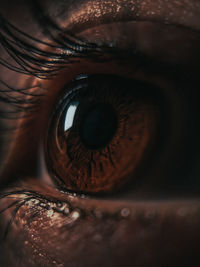 Close-up of human eye