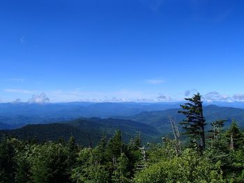 Scenic view of landscape against blue sky