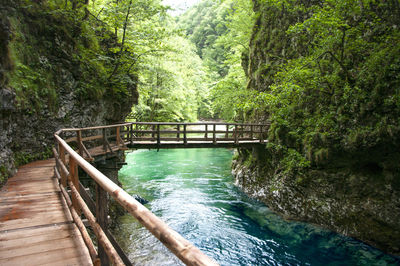 Footbridge over stream amidst trees in forest