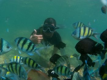 Scuba diving in sea