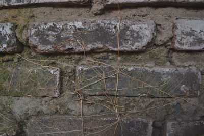 Close-up of weathered wall