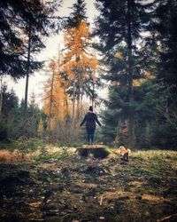 Man with dog walking in forest