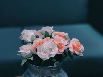 Close-up of roses in vase