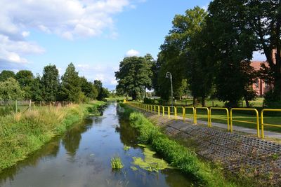 Canal amidst trees against sky