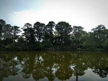 Reflection of trees in lake against sky