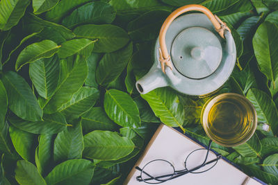 High angle view of tea cup on leaves