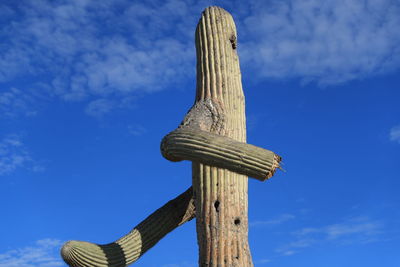 Low angle view of cross on wooden post against sky, sahuaro, cactus, cardones echinopsis atacamensis