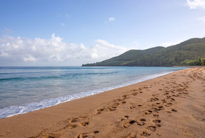 Scenic view of sea against sky