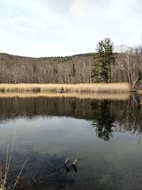 Scenic view of lake against sky