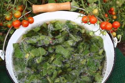 High angle view of salad in bowl on table