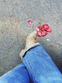 Low section of woman standing on pink rose