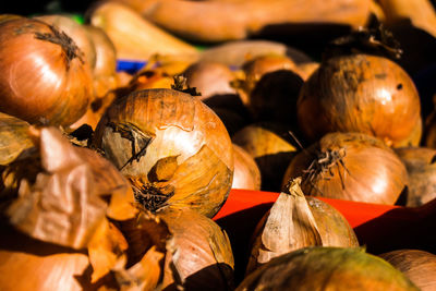 Close-up of food