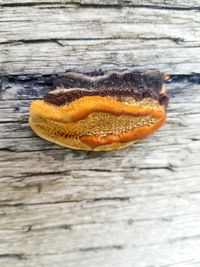 Close-up of orange on table