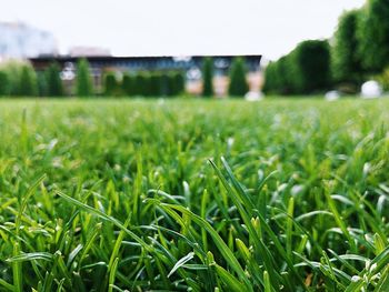 Close-up of soccer field against clear sky