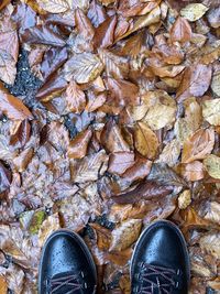 Low section of person standing on dry leaves