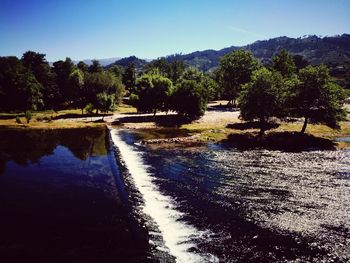 Scenic view of river amidst trees against sky