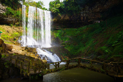 Scenic view of waterfall in forest