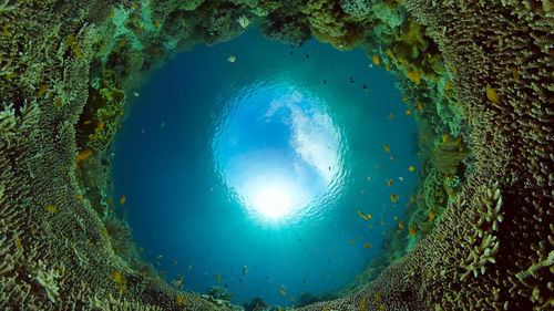 water