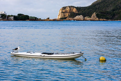 Boats moored in sea against sky