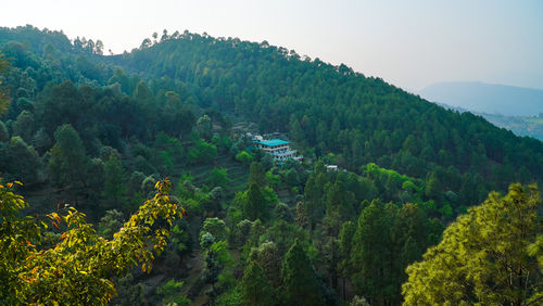 High angle view of trees and mountains isolated house