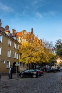 Street amidst trees and buildings against sky during autumn