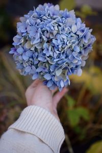 Close-up of hand holding flowers