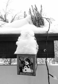 Close-up of snow covered tree against building