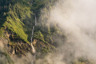 Scenic view of waterfall