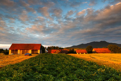 Gardens and barns in karlova village, slovakia.