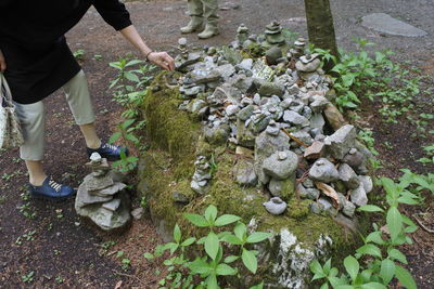 Low section of man standing on rock