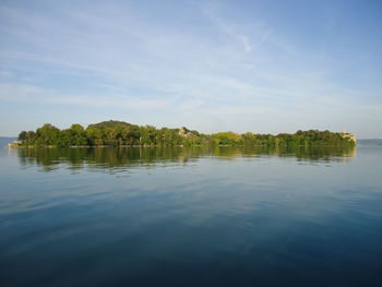 Scenic shot of reflection of plants in calm lake