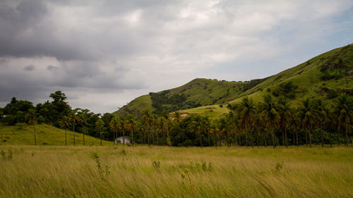 Scenic view of field against sky