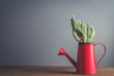 Close-up of potted plant on table against wall at home