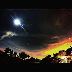 Low angle view of trees against sky at night