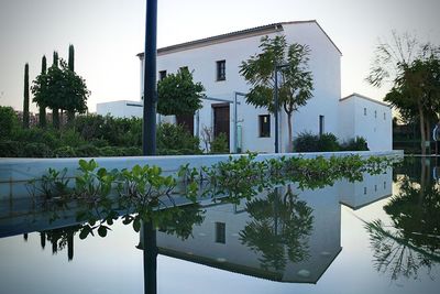 Plants growing by swimming pool against lake and buildings