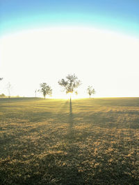 Scenic view of field against clear sky