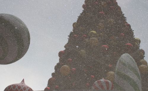 Scenic view of christmas tree against sky during winter