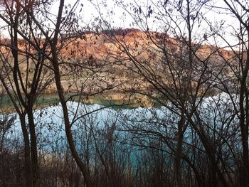 Bare trees by lake in forest against sky