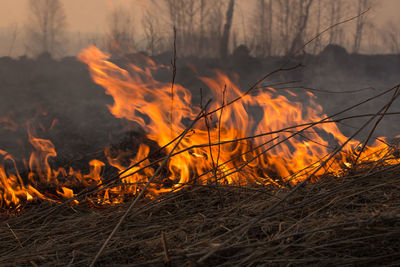 Close-up of bonfire on field against orange sky