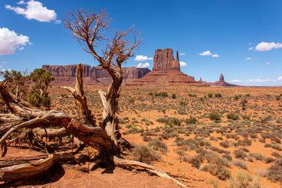 View of rock formations on landscape against sky