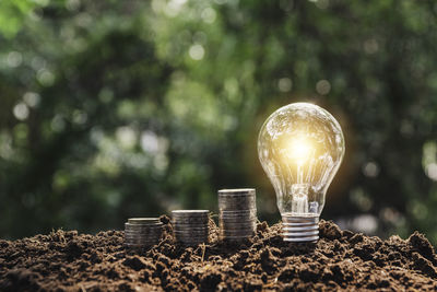 Close-up of light bulb on table against trees