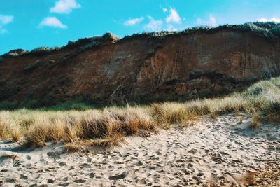 Scenic view of beach against sky