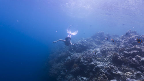 Woman in mermaid costume swimming in sea