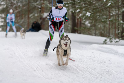 Full length of a dog on snow