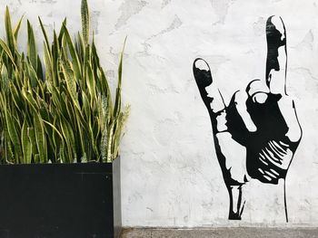 Shadow of potted plant on wall