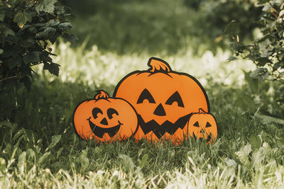 Close-up of pumpkin on grass during halloween