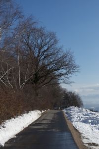 Road amidst snow covered trees against sky