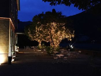 Illuminated trees against sky at night
