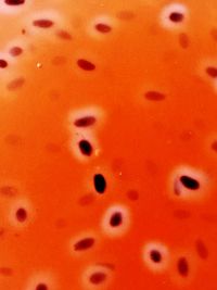 Full frame shot of orange